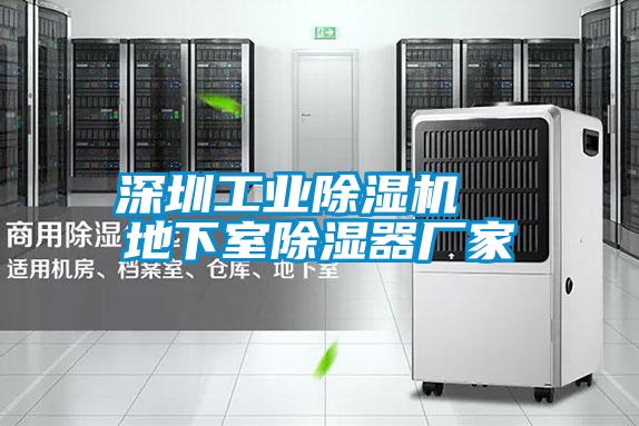 深圳工業(yè)除濕機(jī)  地下室除濕器廠家