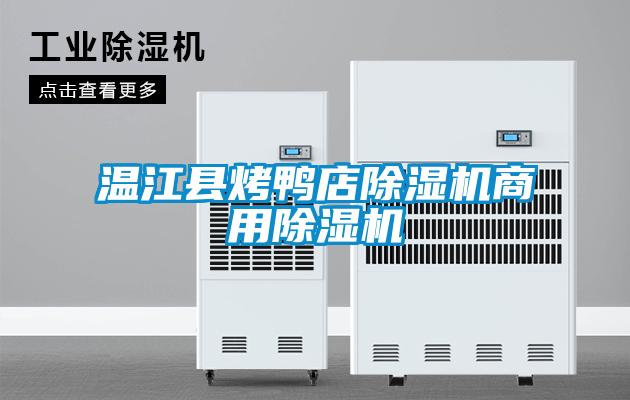 溫江縣烤鴨店除濕機(jī)商用除濕機(jī)