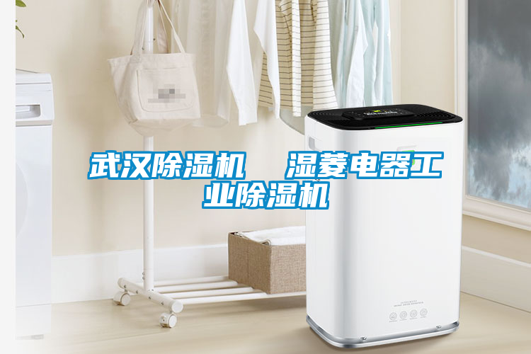 武漢除濕機  濕菱電器工業(yè)除濕機