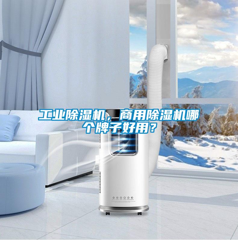 工業(yè)除濕機(jī)，商用除濕機(jī)哪個(gè)牌子好用？