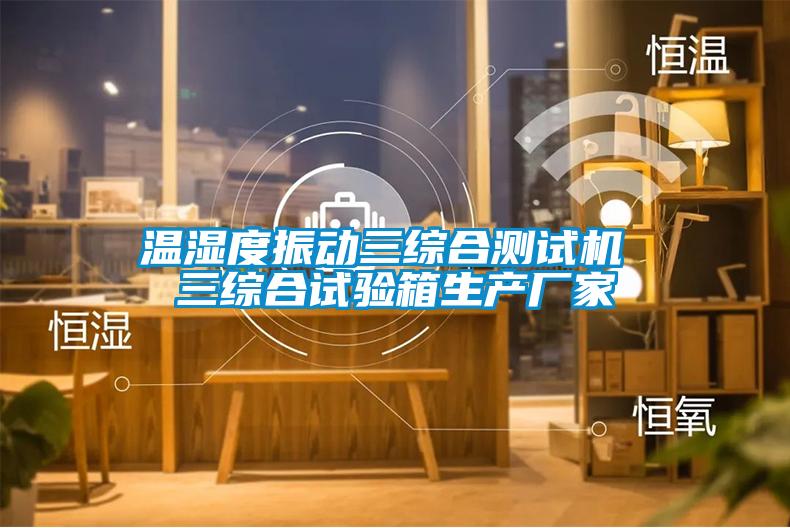 溫濕度振動(dòng)三綜合測(cè)試機(jī) 三綜合試驗(yàn)箱生產(chǎn)廠家