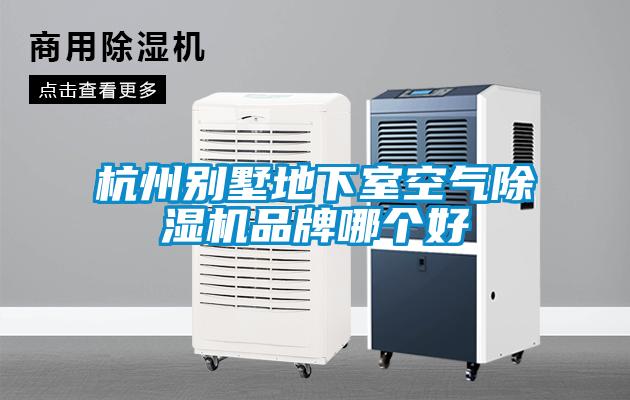 杭州別墅地下室空氣除濕機(jī)品牌哪個(gè)好