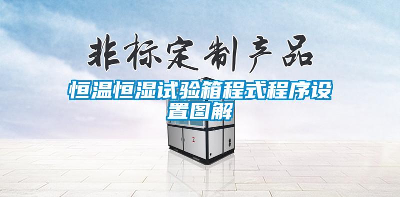 恒溫恒濕試驗(yàn)箱程式程序設(shè)置圖解