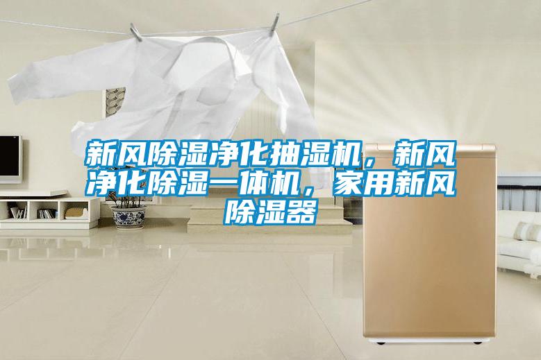 新風(fēng)除濕凈化抽濕機(jī)，新風(fēng)凈化除濕一體機(jī)，家用新風(fēng)除濕器