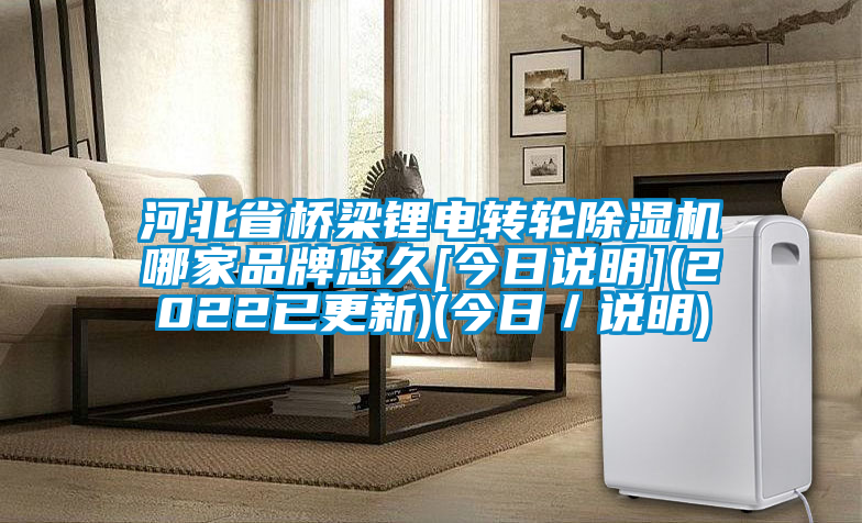 河北省橋梁鋰電轉(zhuǎn)輪除濕機(jī)哪家品牌悠久[今日說(shuō)明](2022已更新)(今日／說(shuō)明)