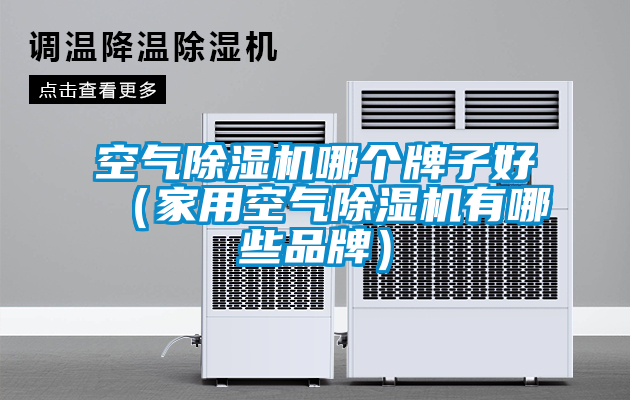 空氣除濕機(jī)哪個(gè)牌子好（家用空氣除濕機(jī)有哪些品牌）