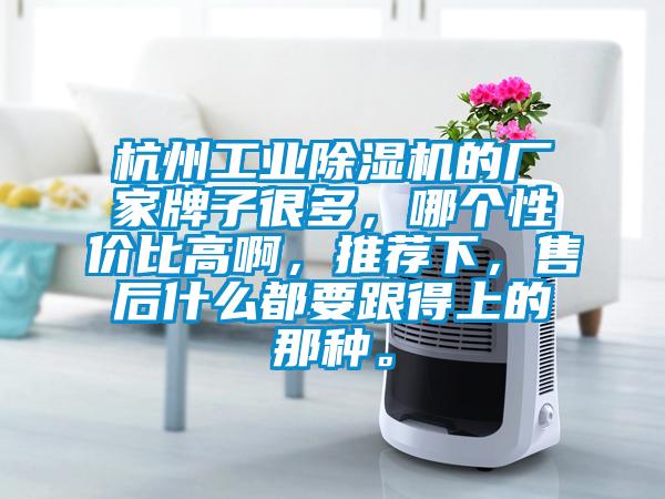 杭州工業(yè)除濕機(jī)的廠家牌子很多，哪個(gè)性價(jià)比高啊，推薦下，售后什么都要跟得上的那種。