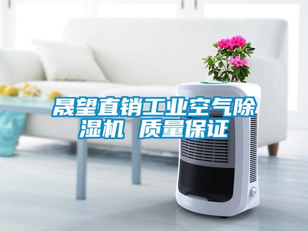 晟望直銷工業(yè)空氣除濕機 質量保證