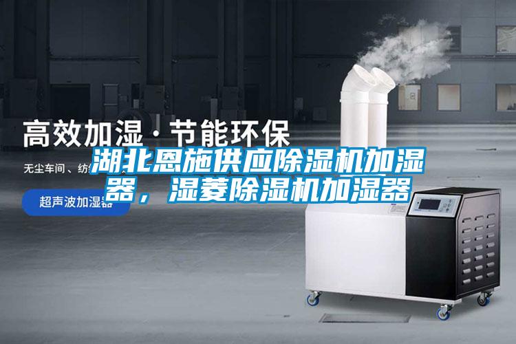 湖北恩施供應除濕機加濕器，濕菱除濕機加濕器