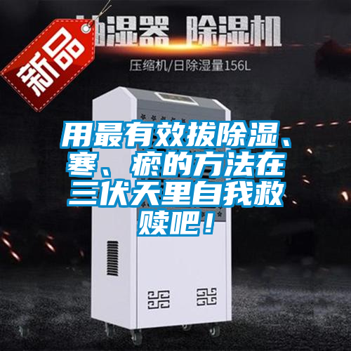用最有效拔除濕、寒、瘀的方法在三伏天里自我救贖吧！