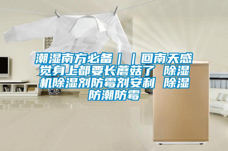 潮濕南方必備｜｜回南天感覺身上都要長蘑菇了 除濕機(jī)除濕劑防霉劑安利 除濕防潮防霉