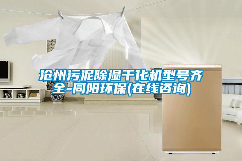 滄州污泥除濕干化機(jī)型號(hào)齊全-同陽(yáng)環(huán)保(在線咨詢)