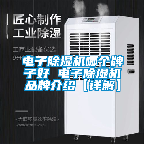 電子除濕機哪個牌子好 電子除濕機品牌介紹【詳解】