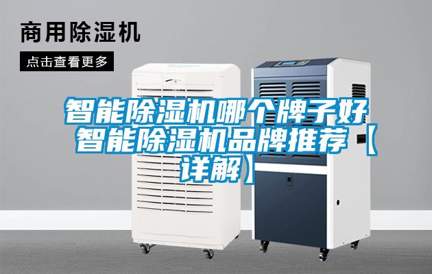 智能除濕機(jī)哪個(gè)牌子好 智能除濕機(jī)品牌推薦【詳解】