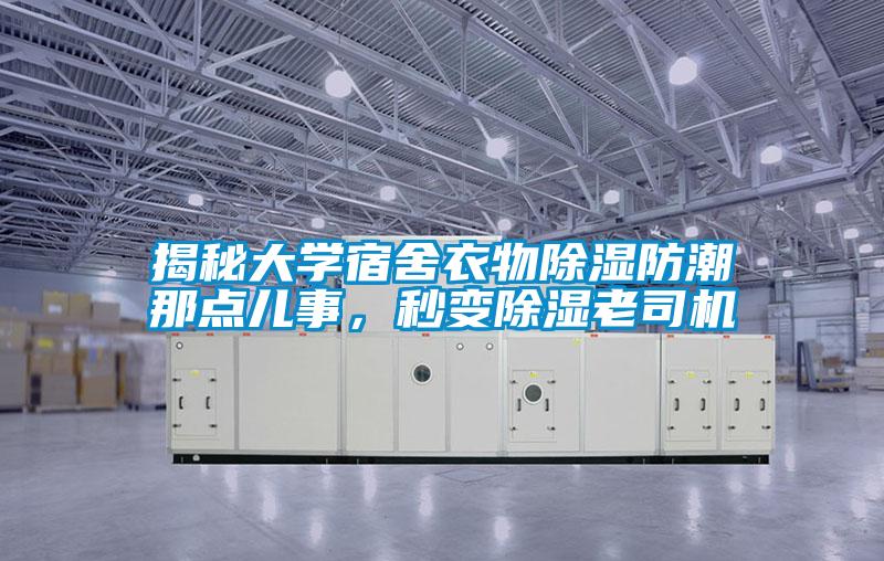 揭秘大學宿舍衣物除濕防潮那點兒事，秒變除濕老司機