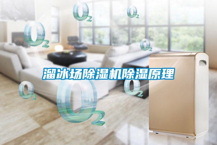 溜冰場(chǎng)除濕機(jī)除濕原理