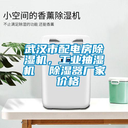 武漢市配電房除濕機，工業(yè)抽濕機  除濕器廠家 價格
