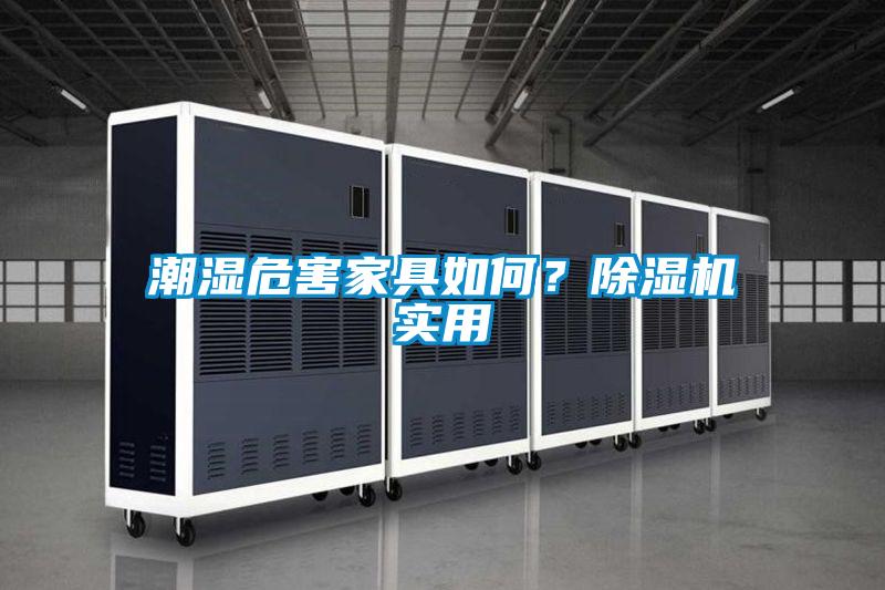 潮濕危害家具如何？除濕機實用