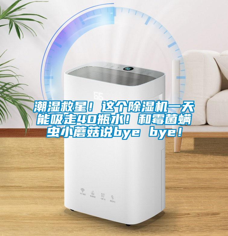 潮濕救星！這個除濕機一天能吸走40瓶水！和霉菌螨蟲小蘑菇說bye bye！