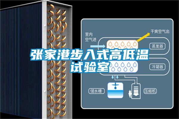 張家港步入式高低溫試驗室