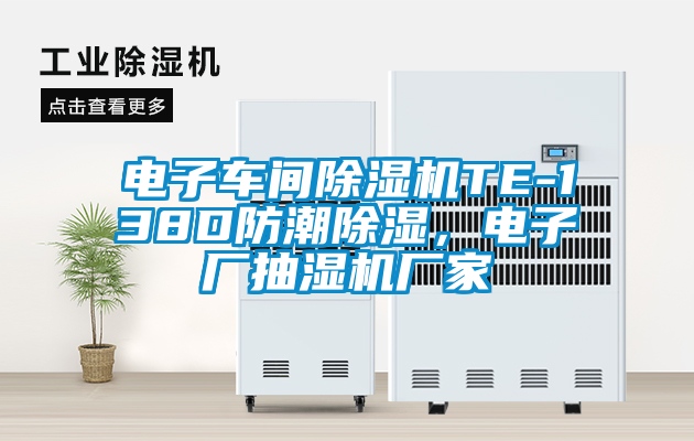 電子車間除濕機(jī)TE-138D防潮除濕，電子廠抽濕機(jī)廠家