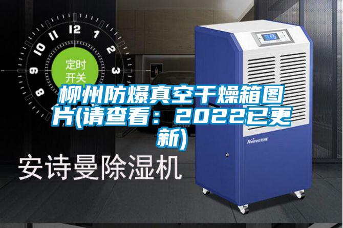 柳州防爆真空干燥箱圖片(請查看：2022已更新)