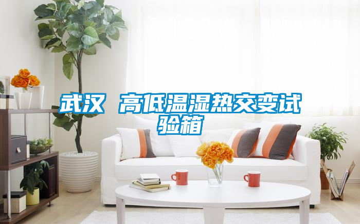 武漢 高低溫濕熱交變?cè)囼?yàn)箱