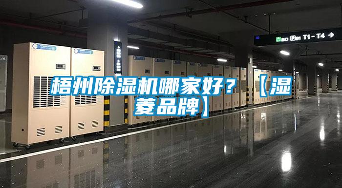 梧州除濕機(jī)哪家好？【濕菱品牌】