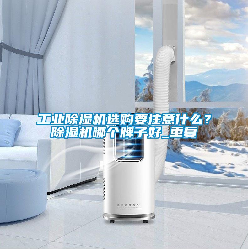工業(yè)除濕機選購要注意什么？除濕機哪個牌子好_重復