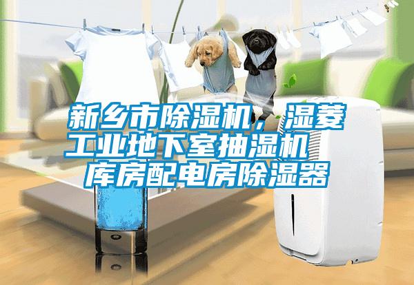 新鄉(xiāng)市除濕機(jī)，濕菱工業(yè)地下室抽濕機(jī)  庫房配電房除濕器