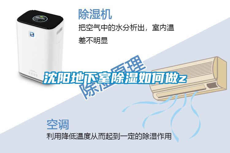 沈陽(yáng)地下室除濕如何做z
