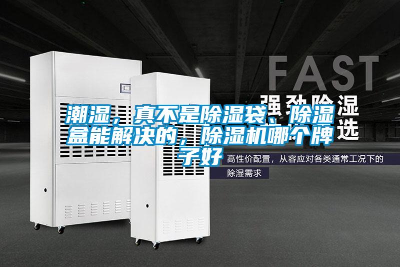 潮濕，真不是除濕袋、除濕盒能解決的，除濕機(jī)哪個(gè)牌子好