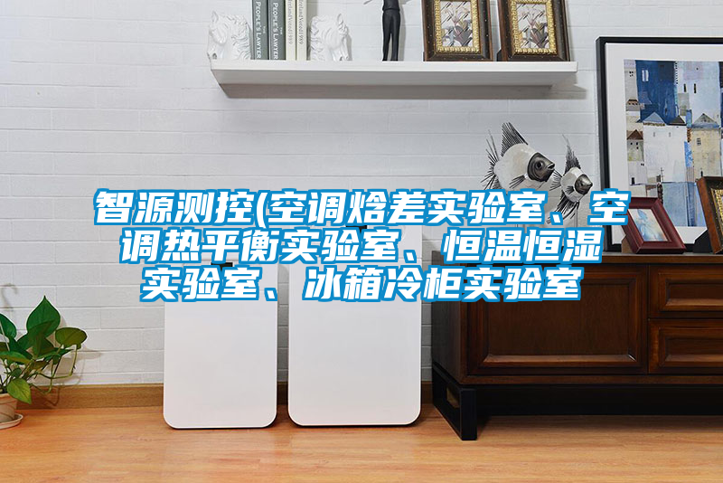 智源測控(空調(diào)焓差實(shí)驗(yàn)室、空調(diào)熱平衡實(shí)驗(yàn)室、恒溫恒濕實(shí)驗(yàn)室、冰箱冷柜實(shí)驗(yàn)室
