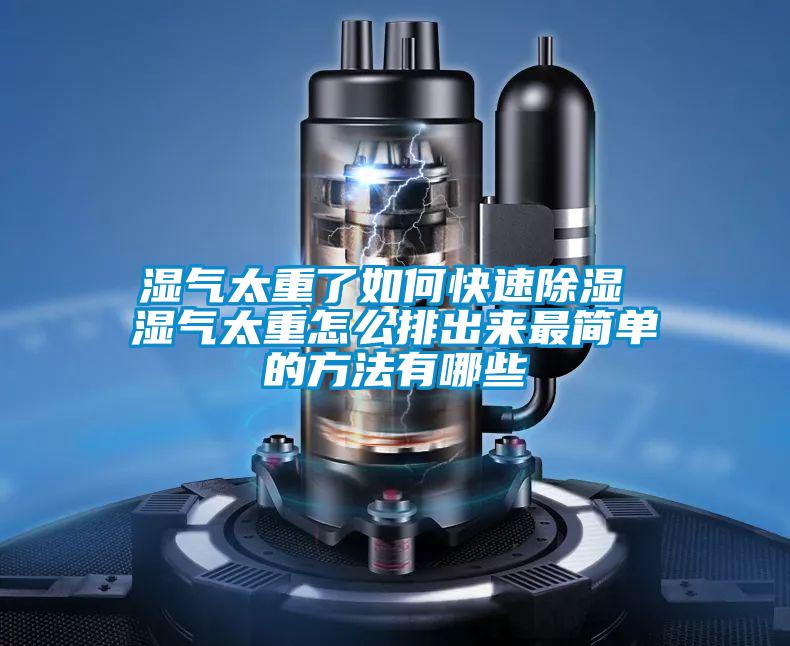 濕氣太重了如何快速除濕 濕氣太重怎么排出來最簡單的方法有哪些