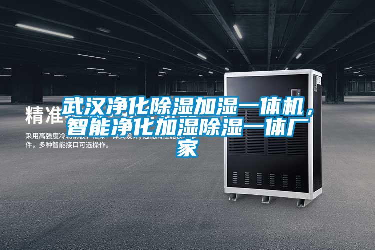 武漢凈化除濕加濕一體機，智能凈化加濕除濕一體廠家