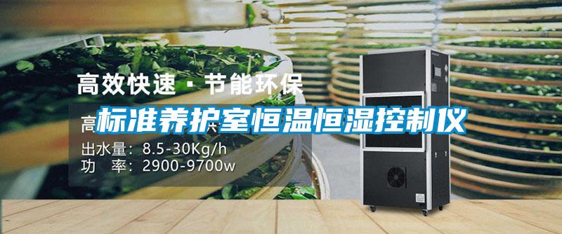 標準養(yǎng)護室恒溫恒濕控制儀