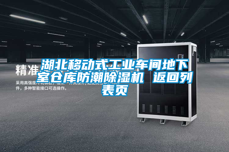 湖北移動(dòng)式工業(yè)車間地下室倉庫防潮除濕機(jī) 返回列表頁