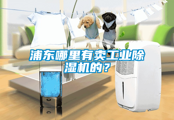 浦東哪里有賣工業(yè)除濕機(jī)的？