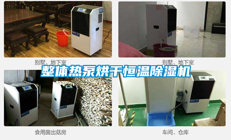 整體熱泵烘干恒溫除濕機