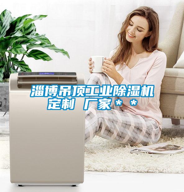 淄博吊頂工業(yè)除濕機(jī)定制 廠家＊＊