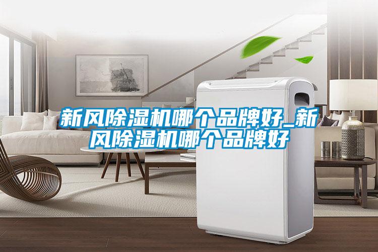 新風除濕機哪個品牌好_新風除濕機哪個品牌好