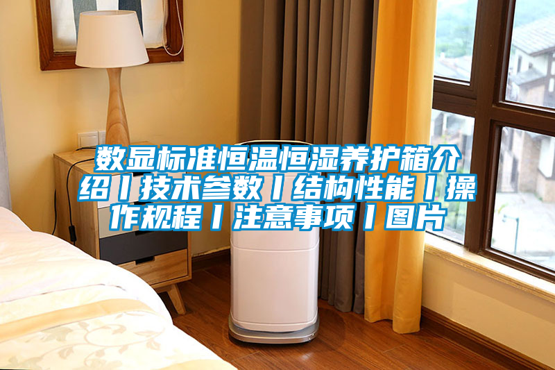 數(shù)顯標準恒溫恒濕養(yǎng)護箱介紹丨技術(shù)參數(shù)丨結(jié)構(gòu)性能丨操作規(guī)程丨注意事項丨圖片