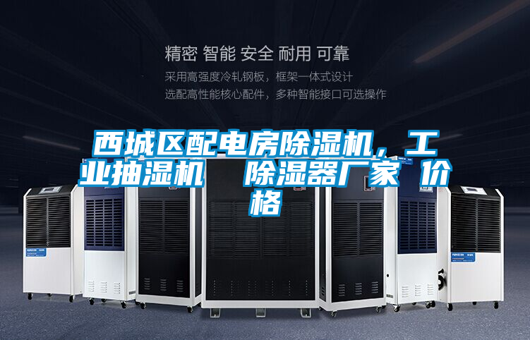西城區(qū)配電房除濕機(jī)，工業(yè)抽濕機(jī)  除濕器廠家 價(jià)格