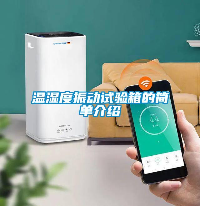溫濕度振動(dòng)試驗(yàn)箱的簡(jiǎn)單介紹