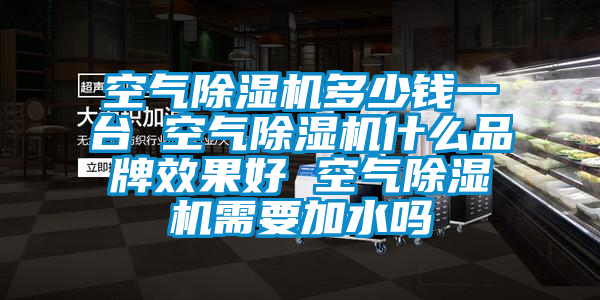 空氣除濕機(jī)多少錢(qián)一臺(tái) 空氣除濕機(jī)什么品牌效果好 空氣除濕機(jī)需要加水嗎