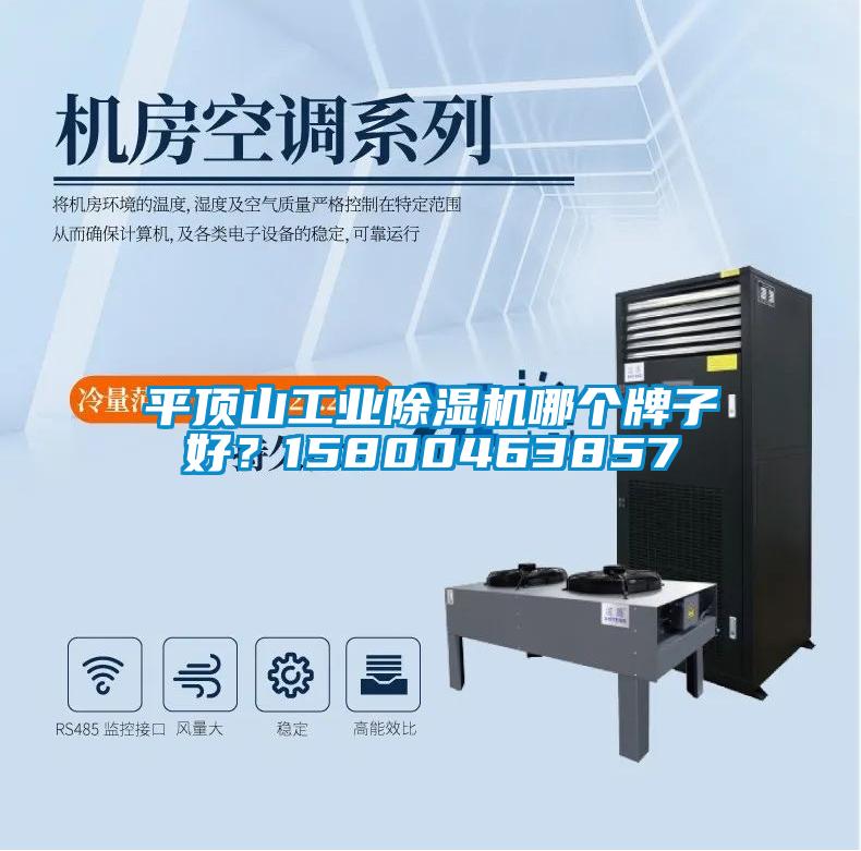 平頂山工業(yè)除濕機(jī)哪個(gè)牌子好？15800463857