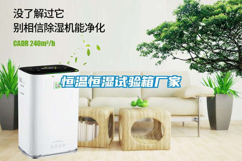 恒溫恒濕試驗(yàn)箱廠家