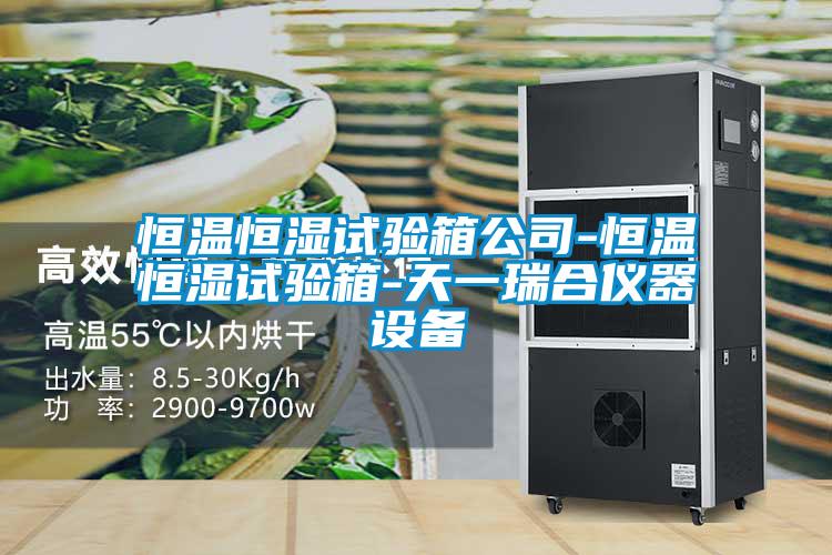 恒溫恒濕試驗(yàn)箱公司-恒溫恒濕試驗(yàn)箱-天一瑞合儀器設(shè)備