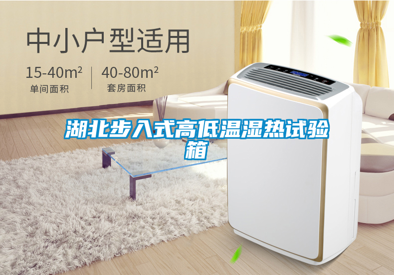 湖北步入式高低溫濕熱試驗(yàn)箱