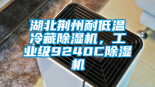 湖北荊州耐低溫冷藏除濕機，工業(yè)級9240C除濕機